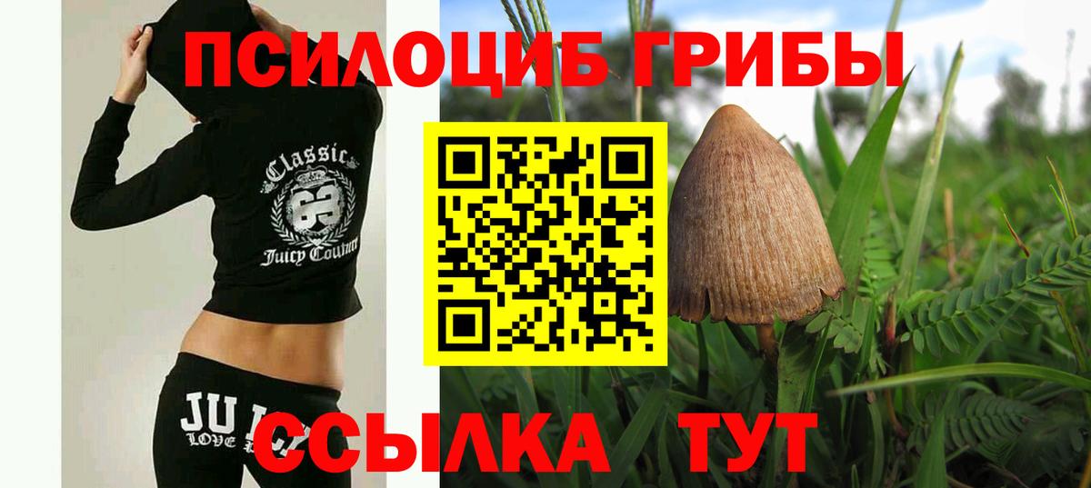 Донецк  Псилоцибиновые грибы Magic Shrooms  Вход с VPN 