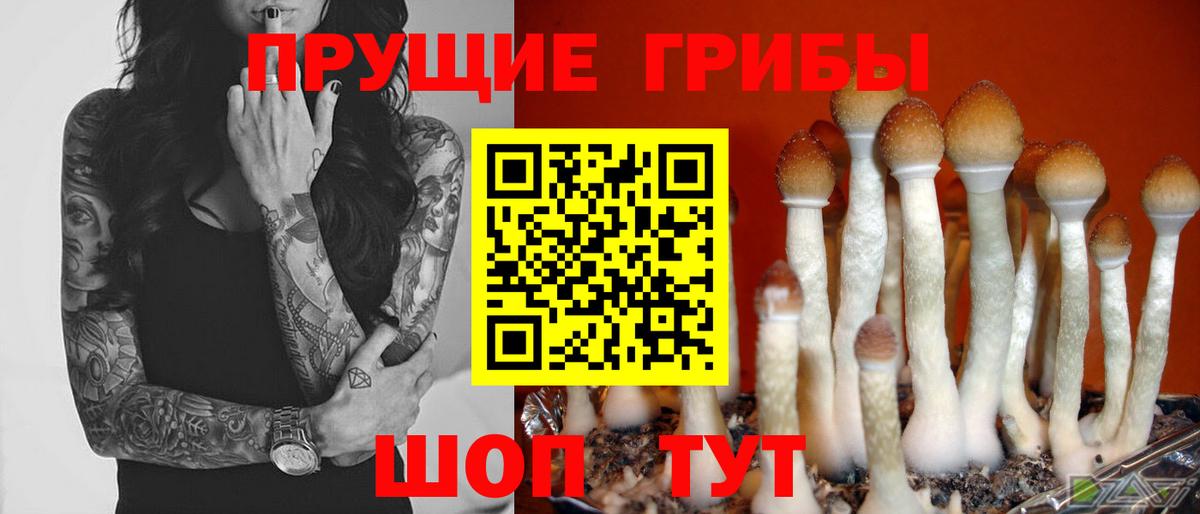 Псилоцибиновые грибы мицелий Донецк